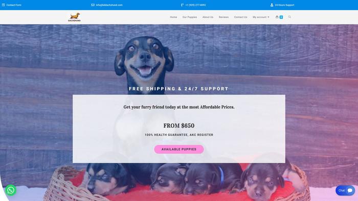 Bddachshund.com - Dachshund Puppy Scam Review