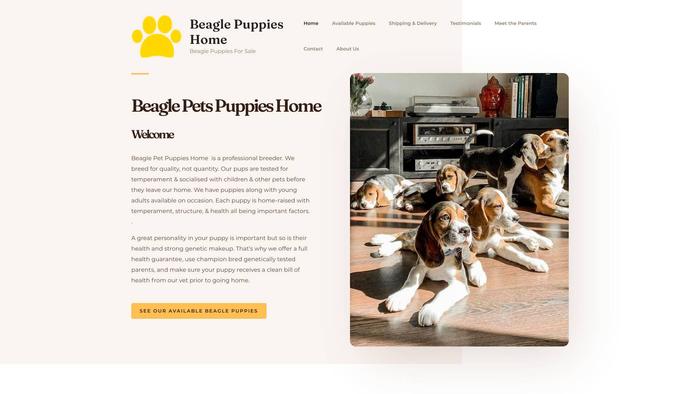 Beaglepetspuppieshome.com - Beagle Puppy Scam Review