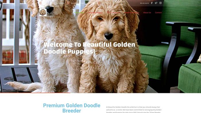 Beautifulgoldendoodles.com - Golden Doodle Puppy Scam Review