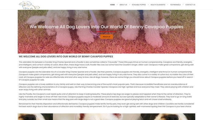 Bennycavapoopuppies.com - Cavapoo Puppy Scam Review