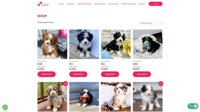 Bernedoodlebreedhome.com - Bernedoodle Puppy Scam Review