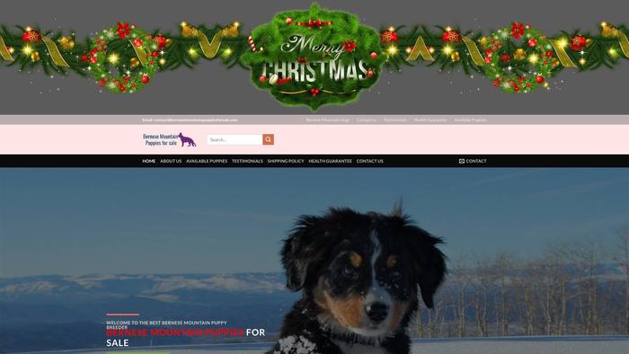 Bernesemountainspuppiesforsale.com - Bernese Mountain Dog Puppy Scam Review