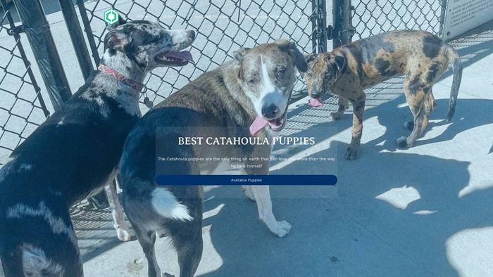 Bestcatahoulapuppies.com - Labrador Puppy Scam Review