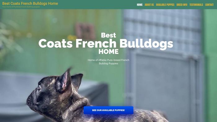 Bestcoatsfrenchbulldogshome.com - French Bulldog Puppy Scam Review