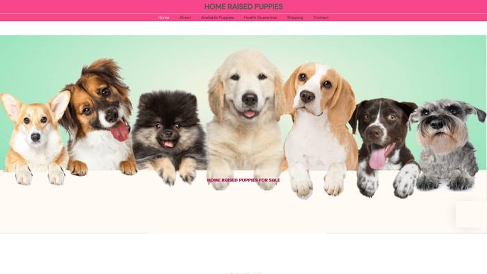 Bestfamilypets.online - Cavalier King Charles Spaniel Puppy Scam Review