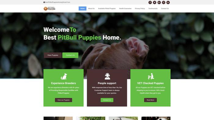 Bestpitbullpuppieshome.com - Pit Bull Puppy Scam Review