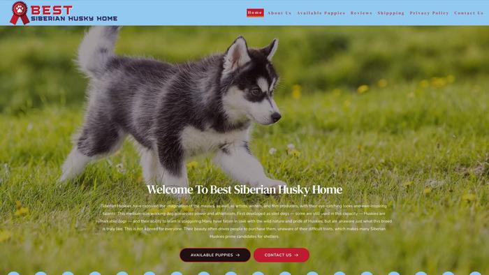 Bestsiberianhuskyhome.com - Husky Puppy Scam Review