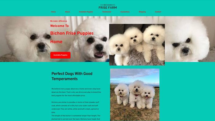 Bichonfrisepuppies4home.com - Bichon Frise Puppy Scam Review