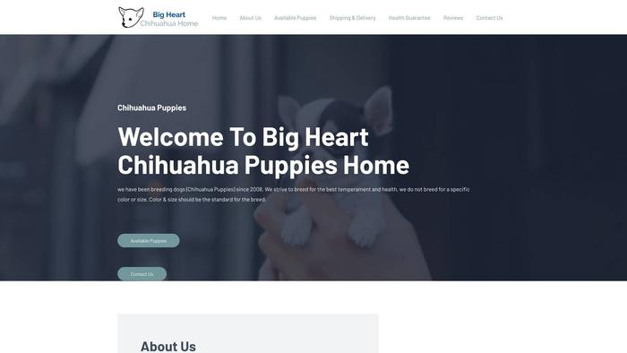 Bigheartchihuahuahome.com - Chihuahua Puppy Scam Review