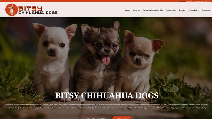 Bitsychihuahuadogs.com - Chihuahua Puppy Scam Review