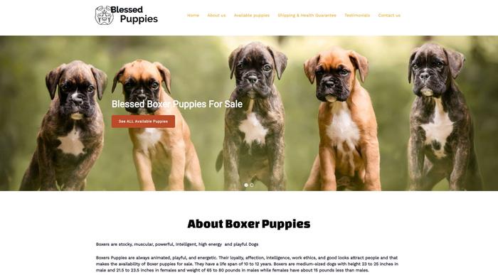 Blessedboxerpuppies.com - Boxer Puppy Scam Review