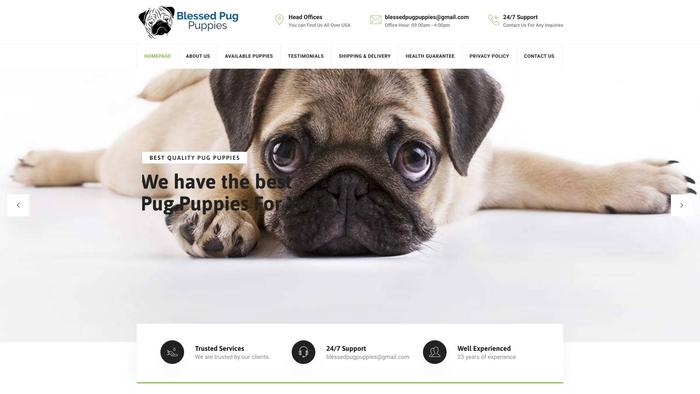 Blessedpugpuppies.com - Pug Puppy Scam Review