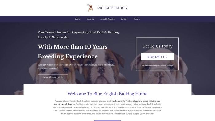 Blueenglishbulldogpups.com - English Bulldog Puppy Scam Review