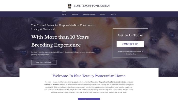 Blueteacuppomeranianpups.com - Pomeranian Puppy Scam Review