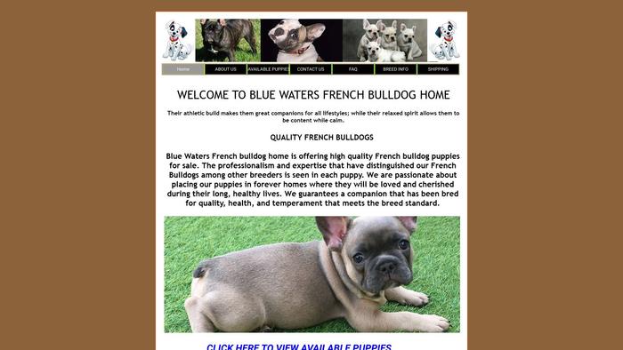 Bluewatersfrenchbulldogpuppies.com - French Bulldog Puppy Scam Review