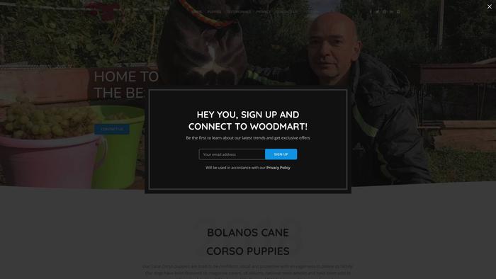 Bolanoscanecorso.com - Cane Corso Puppy Scam Review