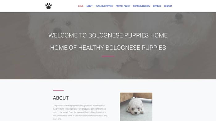 Bolognesepuppieshome.com - Maltese Puppy Scam Review