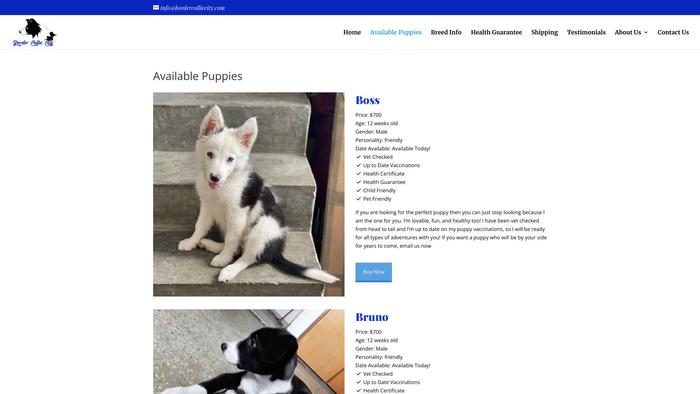 Bordercolliecity.com - Bordercollie Puppy Scam Review