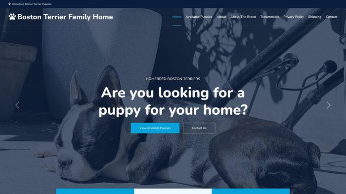 Bostonterrierfamilyhome.com - Boston Terrier Puppy Scam Review