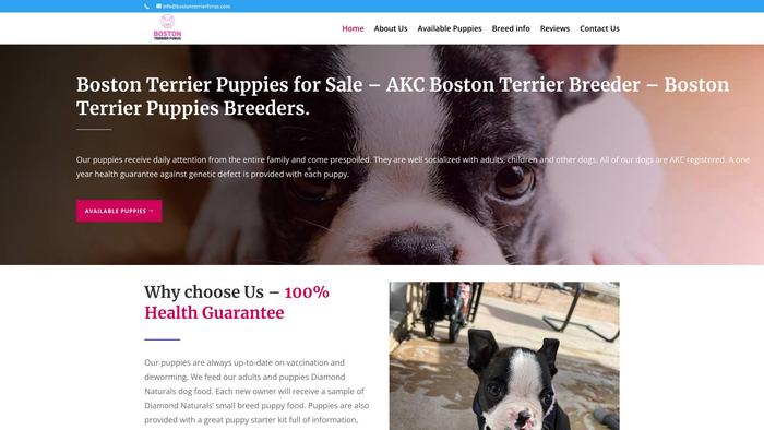 Bostonterrierforus.com - Boston Terrier Puppy Scam Review