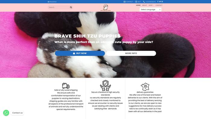 Braveshihtzupuppies.com - Shihtzu Puppy Scam Review