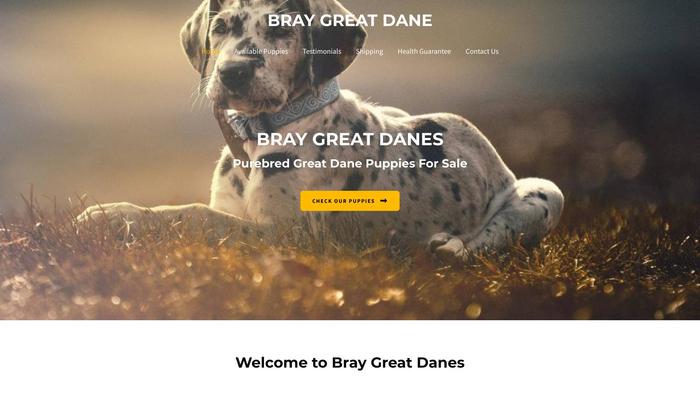 Braygreatdane.com - Great Dane Puppy Scam Review