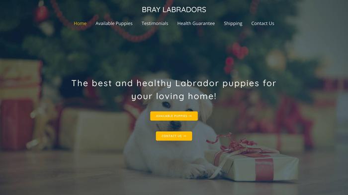 Braylabrador.com - Labrador Puppy Scam Review