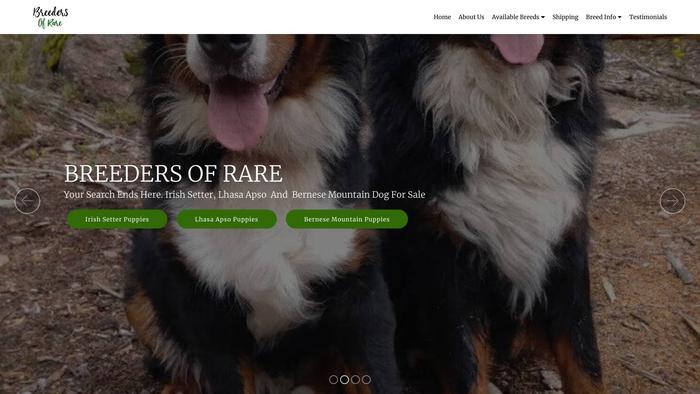 Breedersrare.com - Bernese Mountain Dog Puppy Scam Review