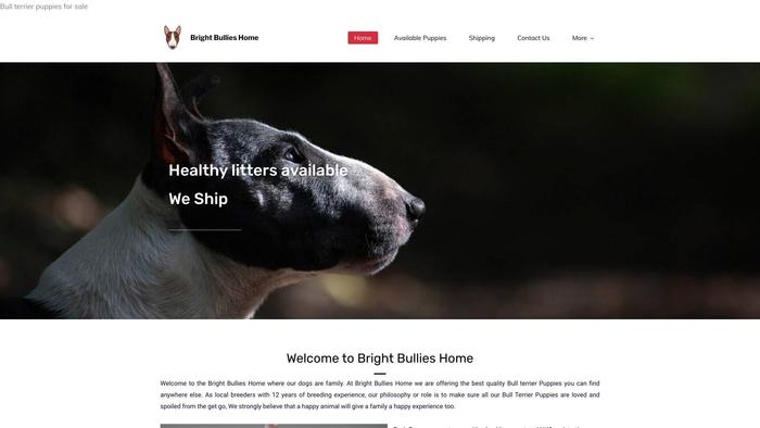 Brightbullieshome.com - English Bulldog Puppy Scam Review