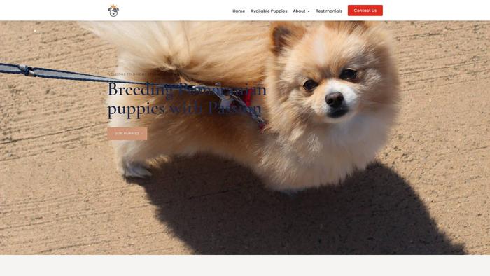 Brightstarpomeranians.com - Pomeranian Puppy Scam Review