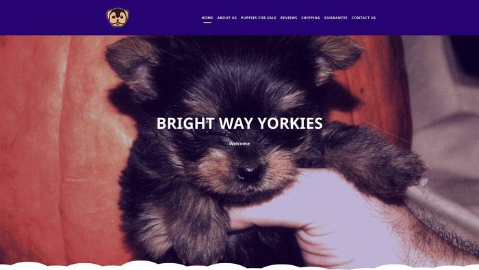 Brightwayyorkies.com - Yorkshire Terrier Puppy Scam Review