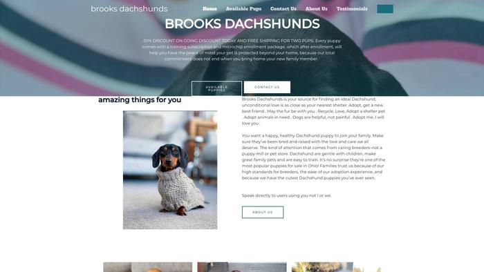 Brooks-dachshundss.com - Dachshund Puppy Scam Review