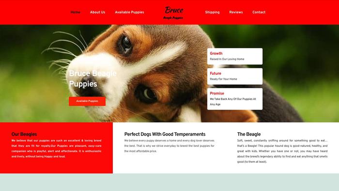 Brucebeaglepuppies4homes.com - Beagle Puppy Scam Review