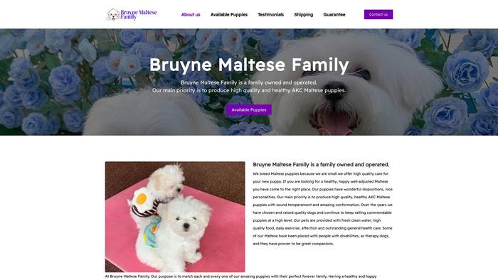 Bruynemaltesefamily.com - Maltese Puppy Scam Review