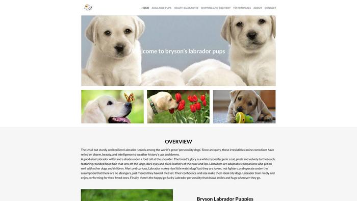 Brysonlabradorpups.com - Labrador Puppy Scam Review