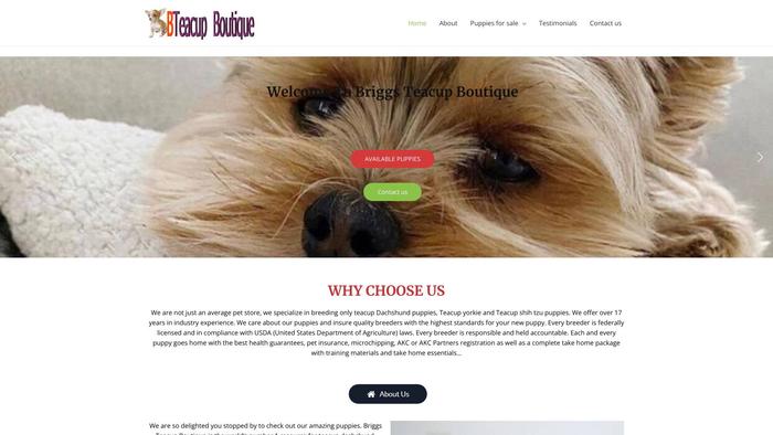 Bteacuppupsboutique.com - Yorkshire Terrier Puppy Scam Review