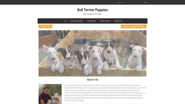 Bullterrierpupsforsale.com - Terrier Puppy Scam Review