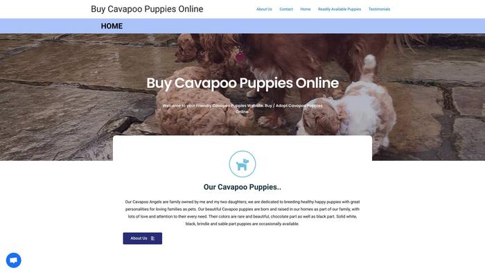 Buycavapoopuppiesonline.com - Cavapoo Puppy Scam Review