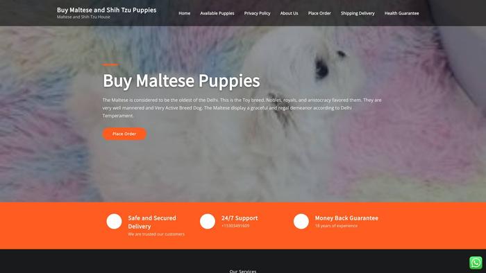 Buymalteseshishpups.com - Maltese Puppy Scam Review