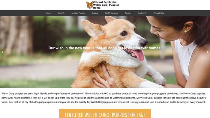 Calvardpembrokewelshcorgipuppieshome.com - Corgi Puppy Scam Review