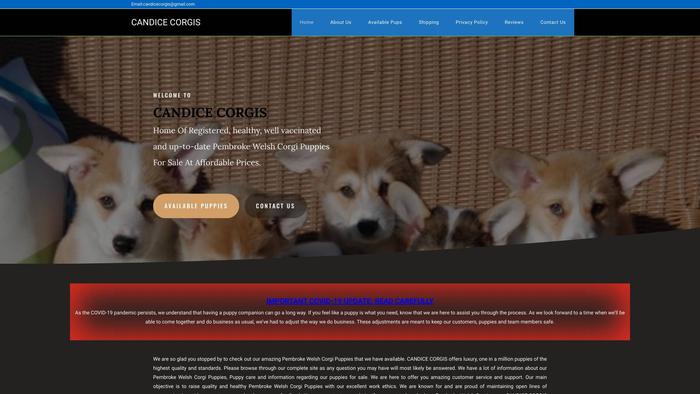 Candicecorgis.com - Corgi Puppy Scam Review