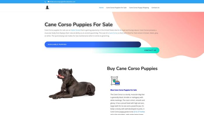 Canecorsopuppiesforsaleonline.com - Cane Corso Puppy Scam Review