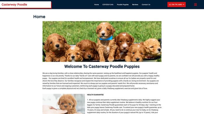 Casterwaypoodle.com - Poodle Puppy Scam Review