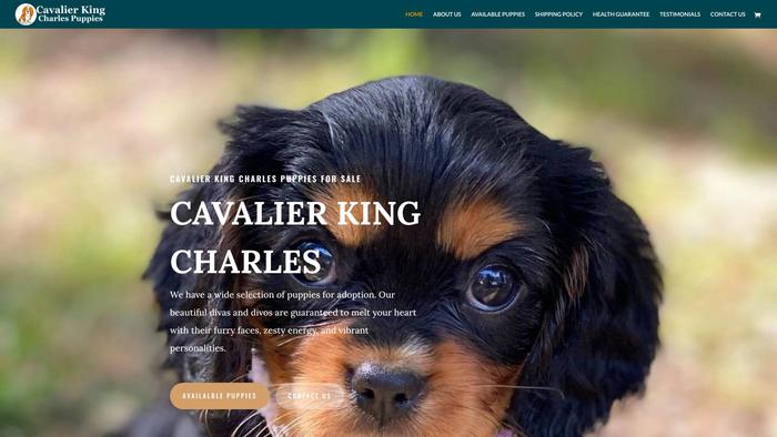 Cava-kingcharlespups.com - Cavalier King Charles Spaniel Puppy Scam Review