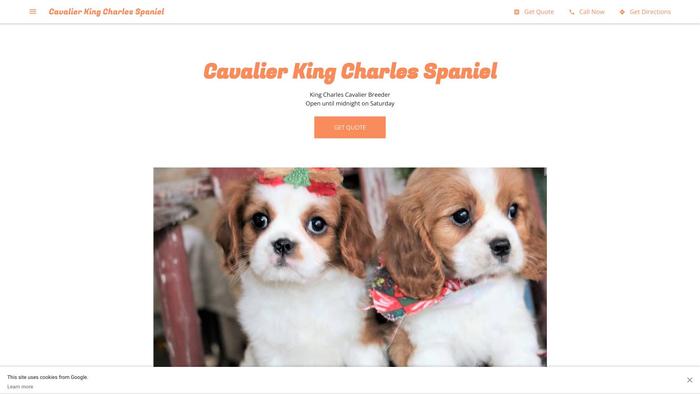 Cavalierkingcharlesspaniel.biz - Cavalier King Charles Spaniel Puppy Scam Review