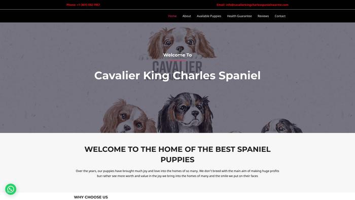 Cavalierkingcharlesspanielnearme.com - Cavalier King Charles Spaniel Puppy Scam Review