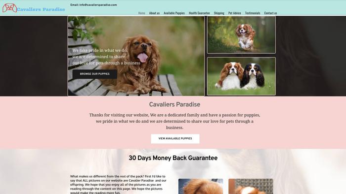 Cavaliersparadise.com - Cavalier King Charles Spaniel Puppy Scam Review