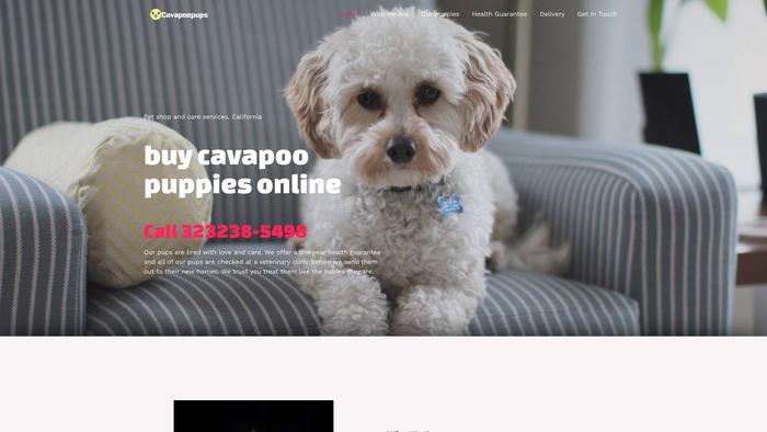 Cavapoopupsonline.dog - Cavapoo Puppy Scam Review