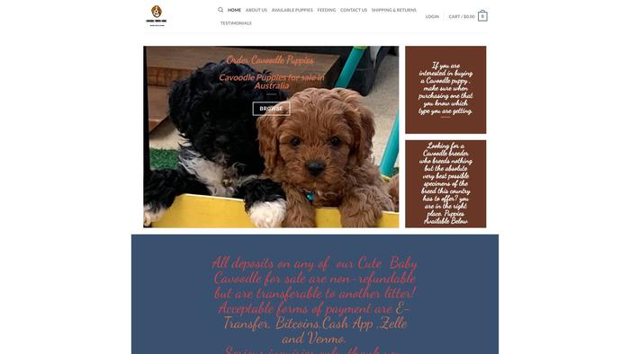 Cavoodlepuppieshome.dog - Cavapoo Puppy Scam Review