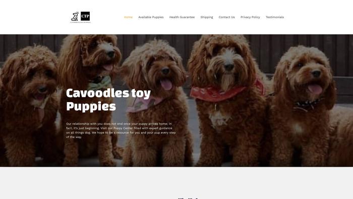 Cavoodlestoypuppies.com - Cavapoo Puppy Scam Review